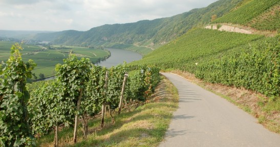 Rajd Niemiec